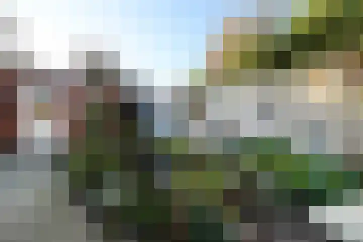 Wit Kruis 1 Steenbergen thumbnail 36