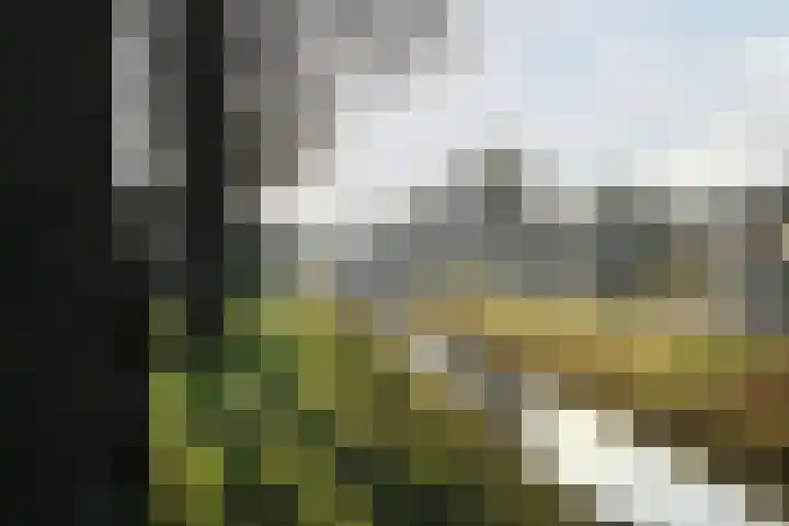 Wit Kruis 1 Steenbergen thumbnail 37