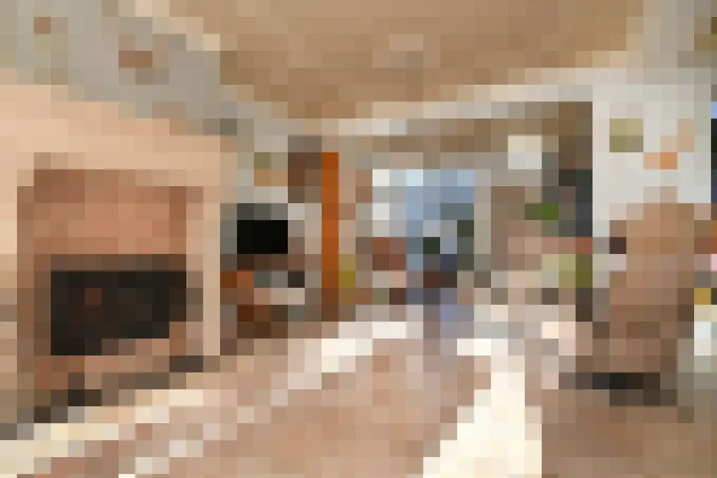 Wit Kruis 1 Steenbergen thumbnail 4