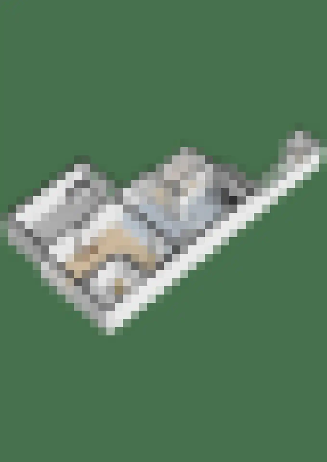 Wit Kruis 1 Steenbergen thumbnail 41