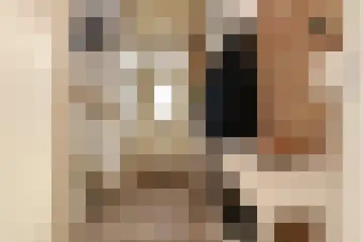 Wit Kruis 1 Steenbergen thumbnail 5
