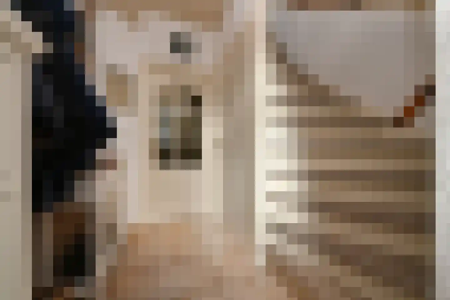 Wit Kruis 1 Steenbergen thumbnail 5