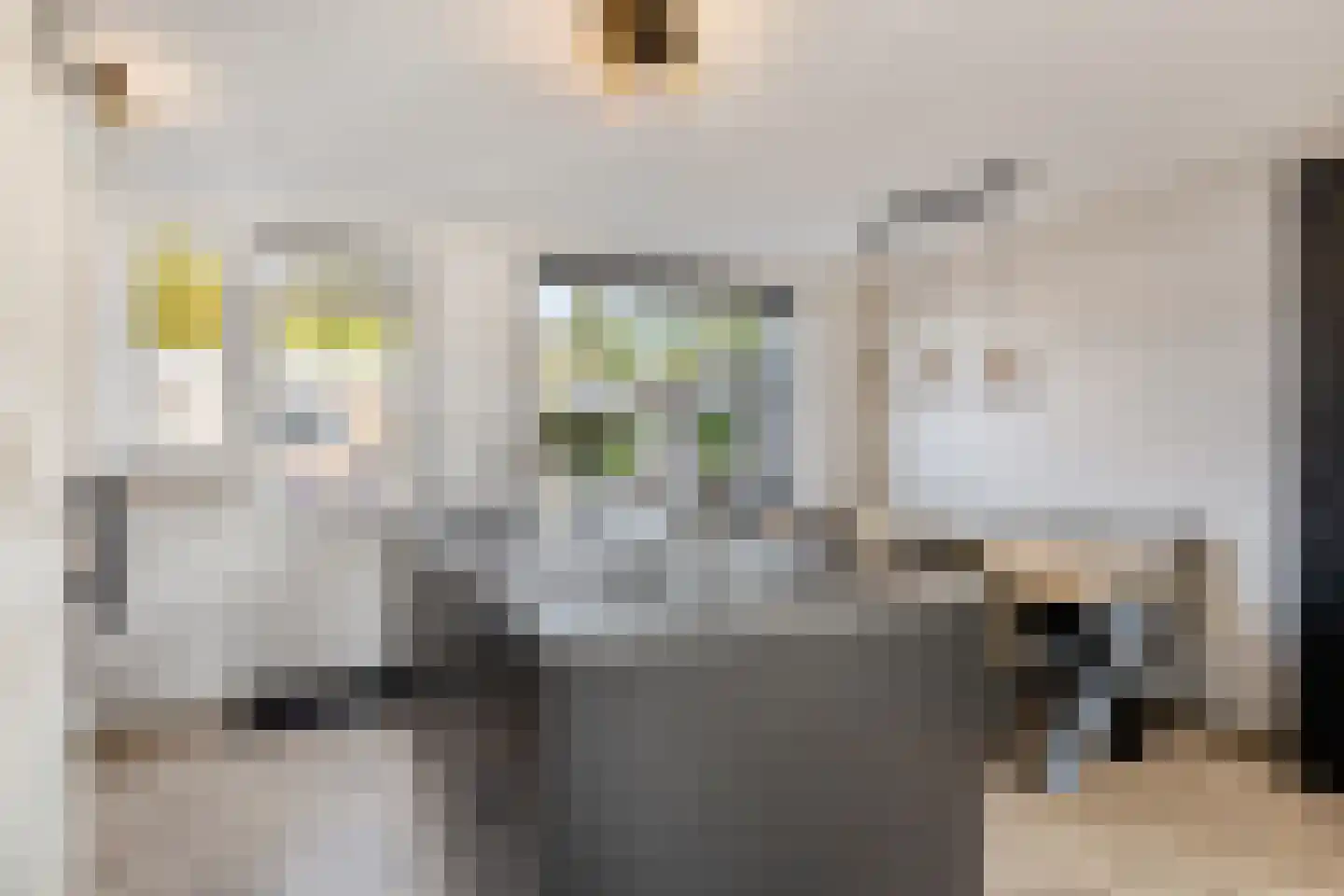 Wit Kruis 19 Steenbergen thumbnail 13