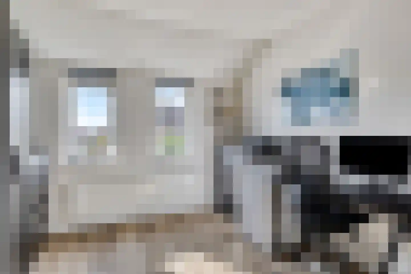 Wit Kruis 19 Steenbergen thumbnail 22