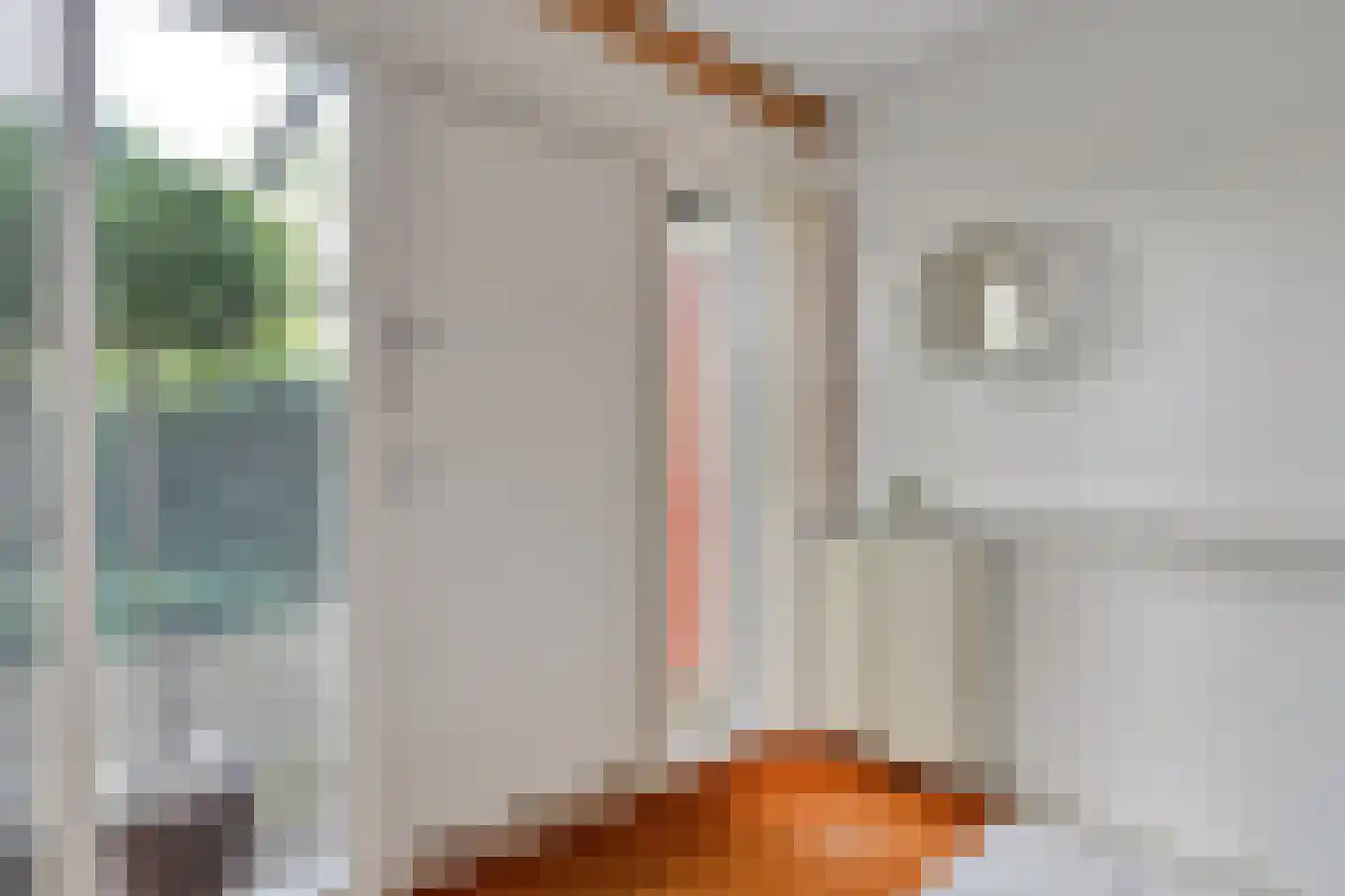 Witacker 3 Vledder thumbnail 15