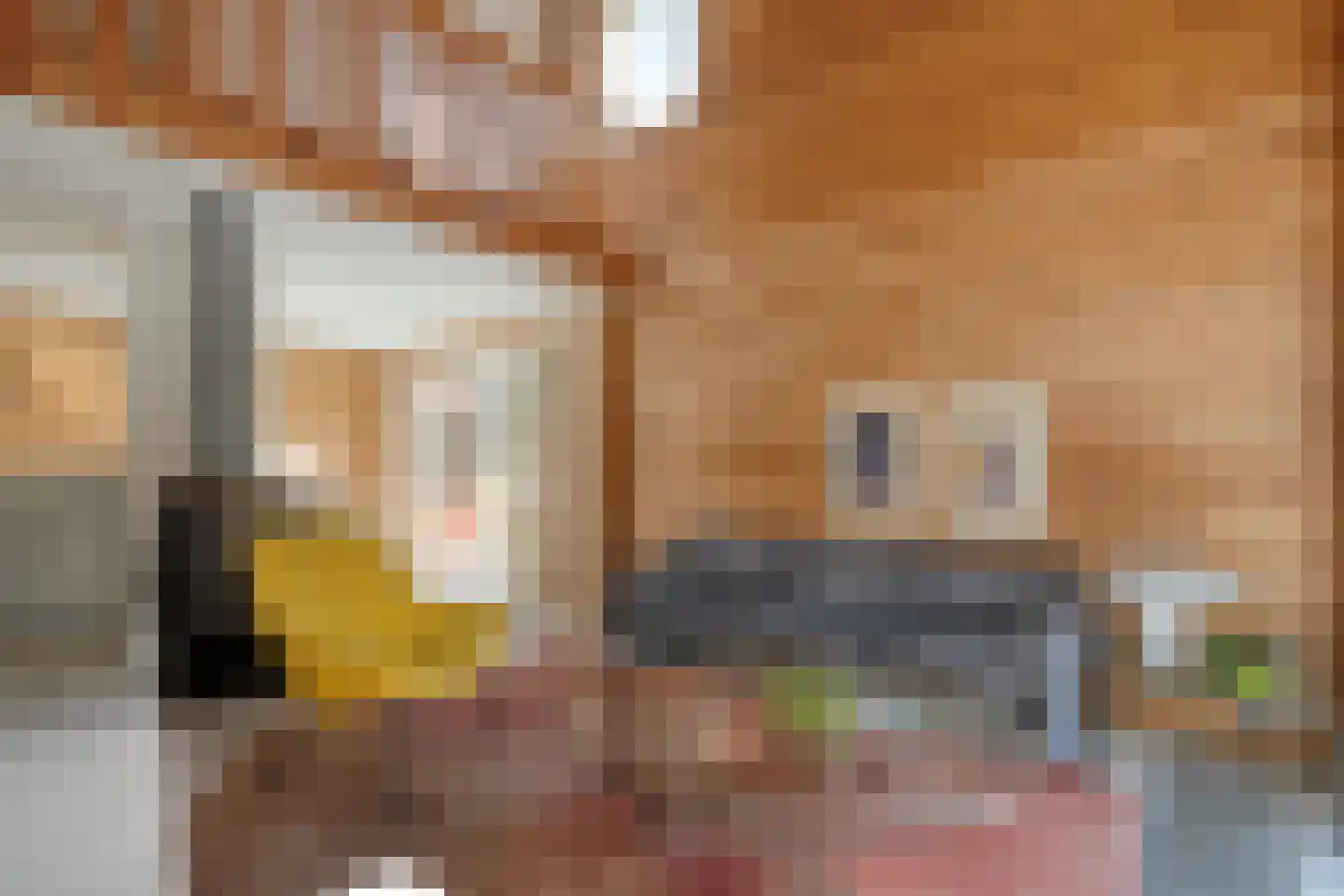 Witacker 3 Vledder thumbnail 19