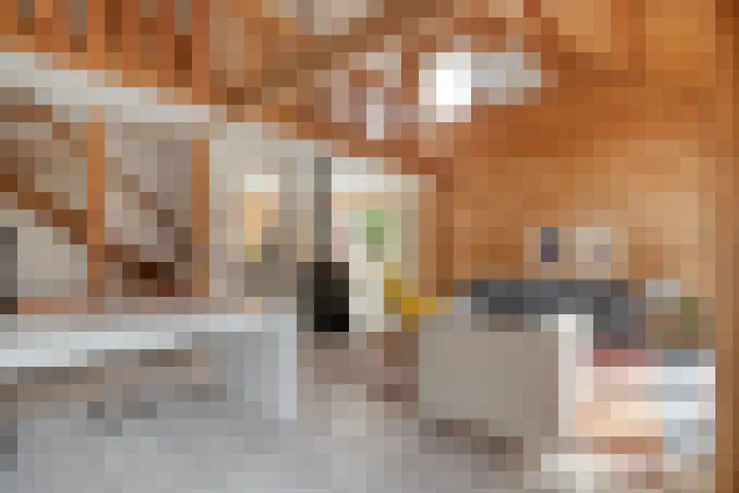 Witacker 3 Vledder thumbnail 22