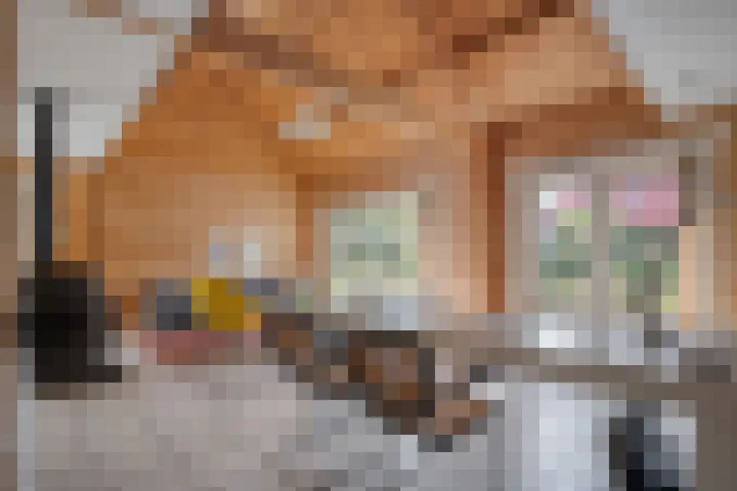 Witacker 3 Vledder thumbnail 23