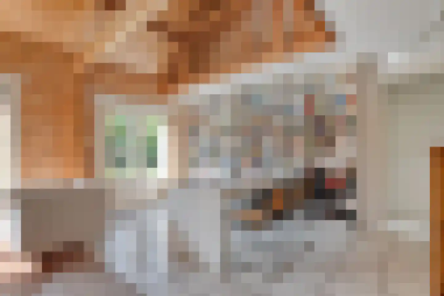Witacker 3 Vledder thumbnail 24