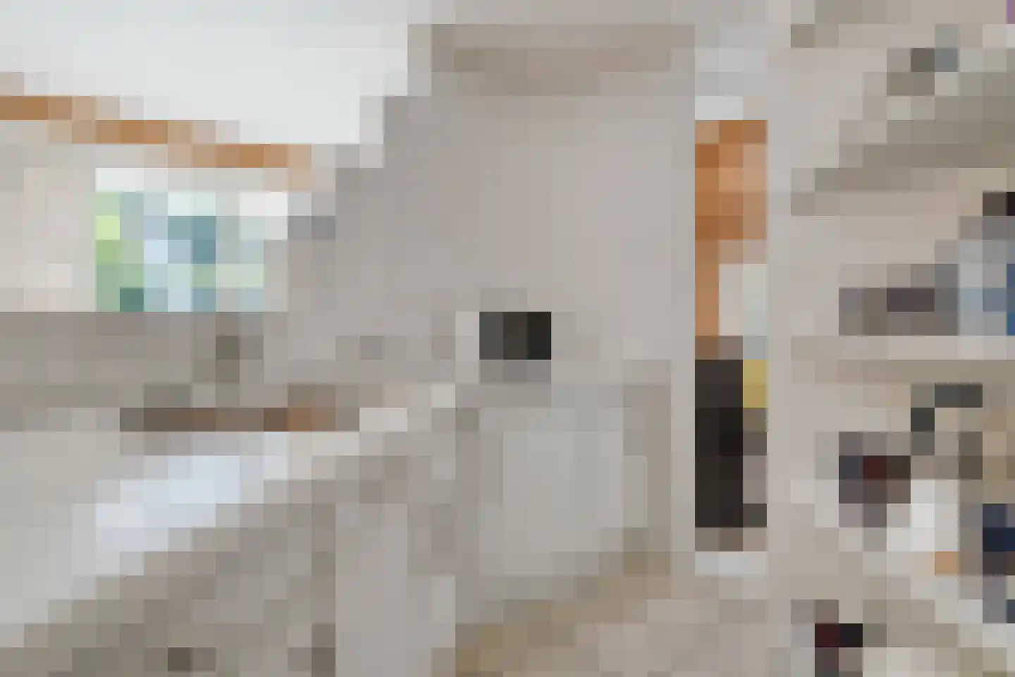 Witacker 3 Vledder thumbnail 29