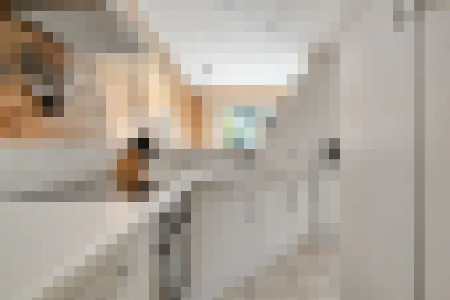 Witacker 3 Vledder thumbnail 30