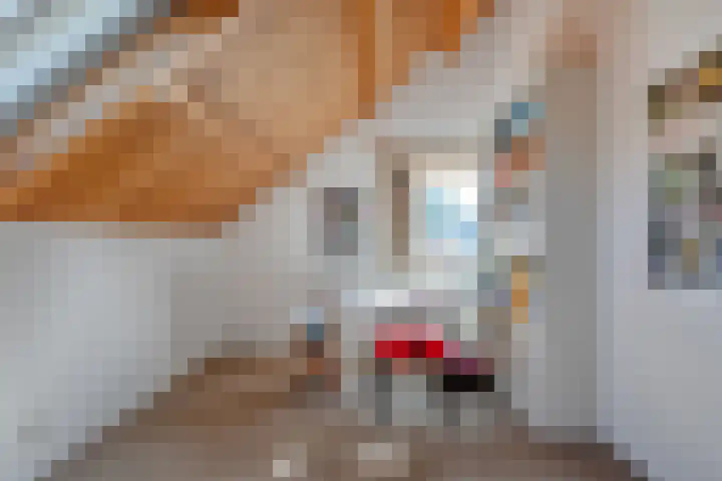 Witacker 3 Vledder thumbnail 43