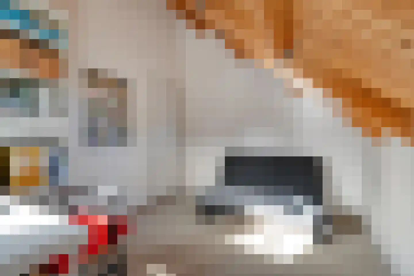 Witacker 3 Vledder thumbnail 44