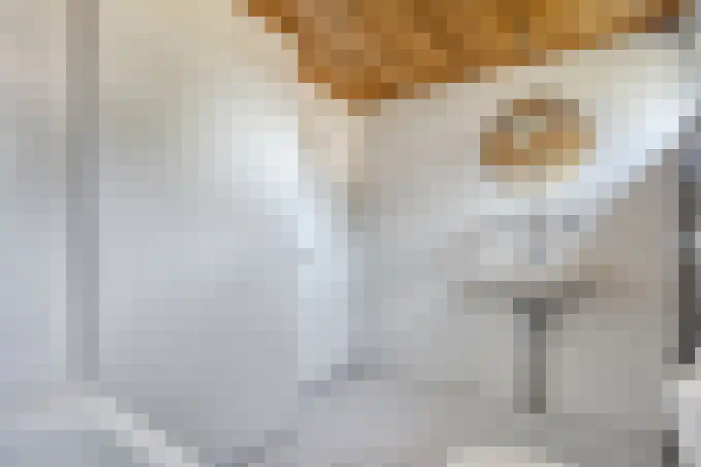 Witacker 3 Vledder thumbnail 48