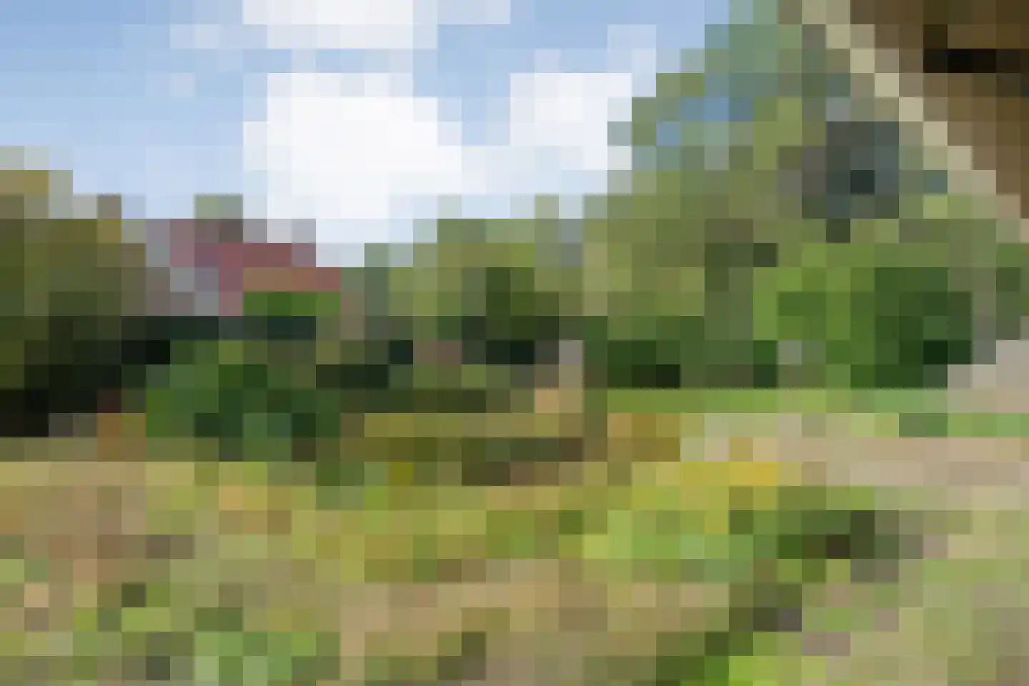 Witacker 3 Vledder thumbnail 53