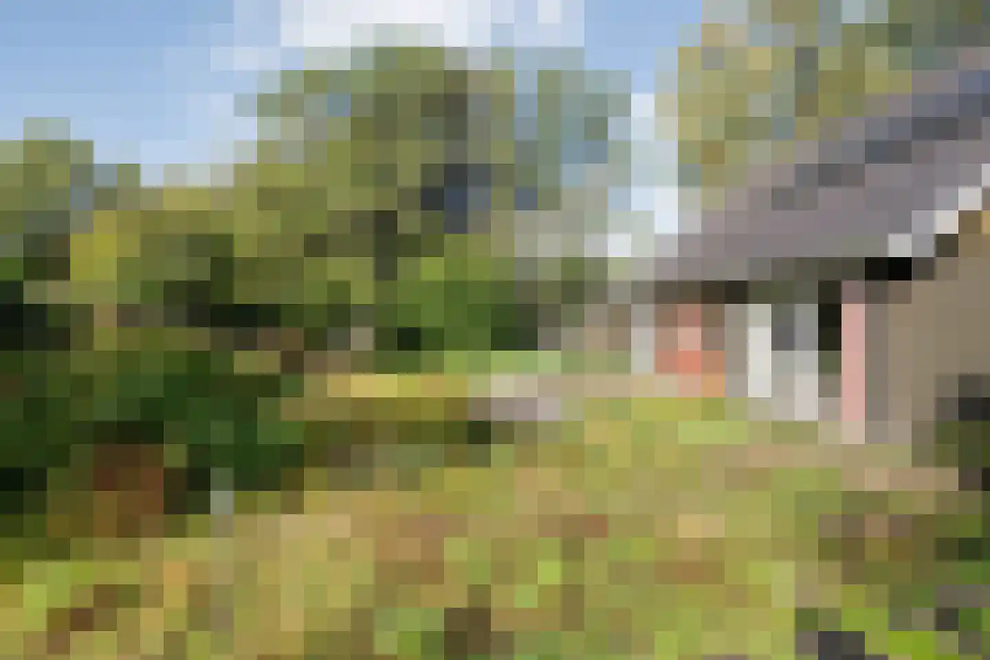 Witacker 3 Vledder thumbnail 54