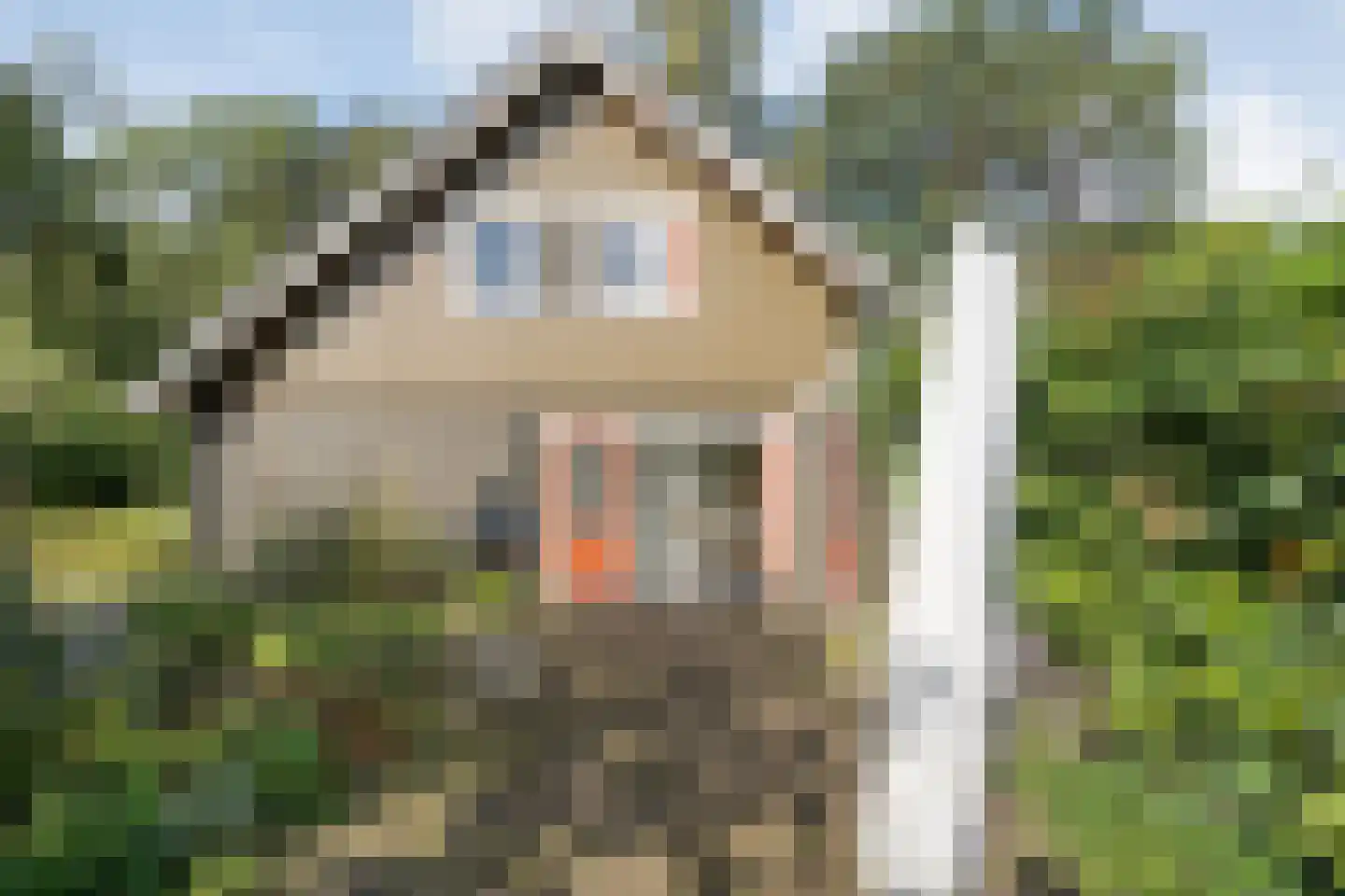 Witacker 3 Vledder thumbnail 55