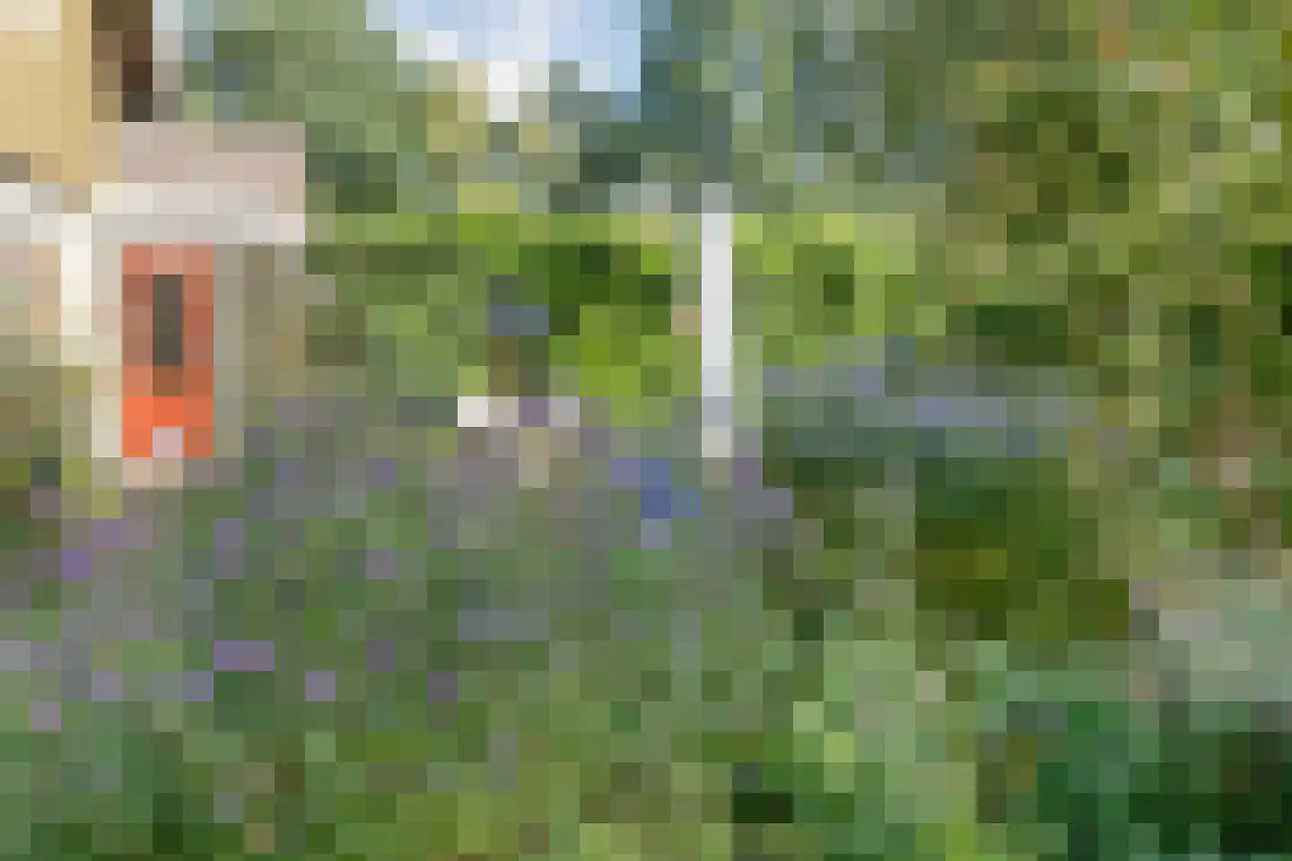 Witacker 3 Vledder thumbnail 57