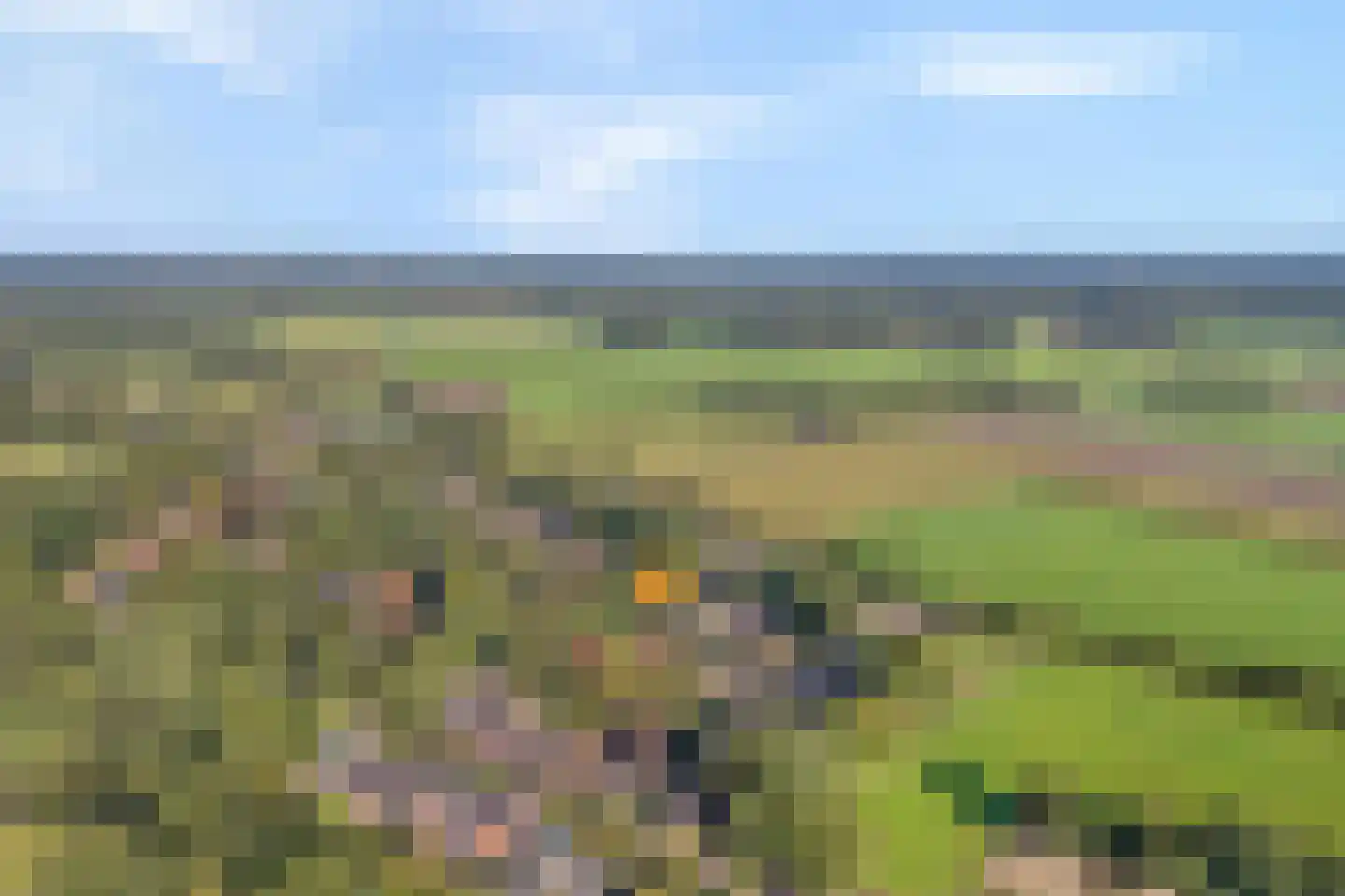 Witacker 3 Vledder thumbnail 6