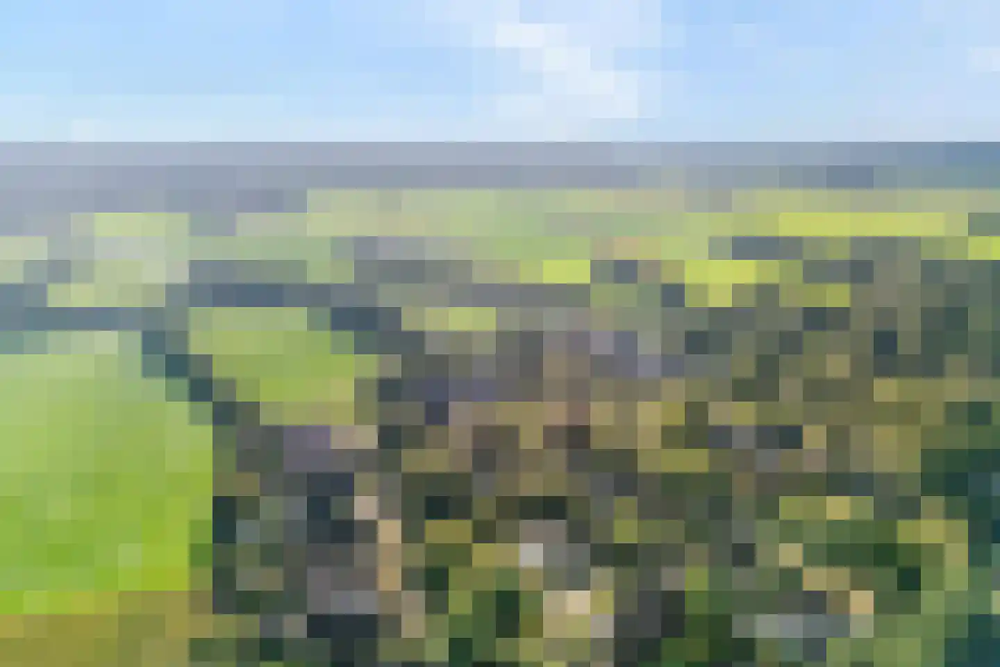 Witacker 3 Vledder thumbnail 62