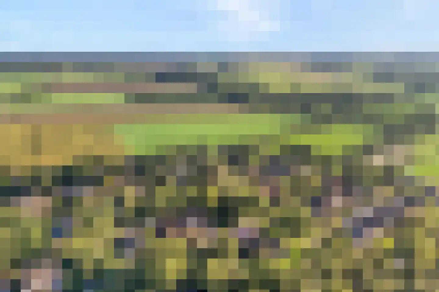 Witacker 3 Vledder thumbnail 7