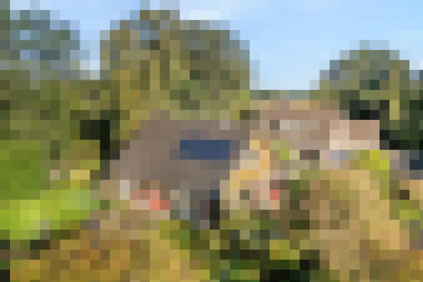 Witacker 3 Vledder thumbnail 8