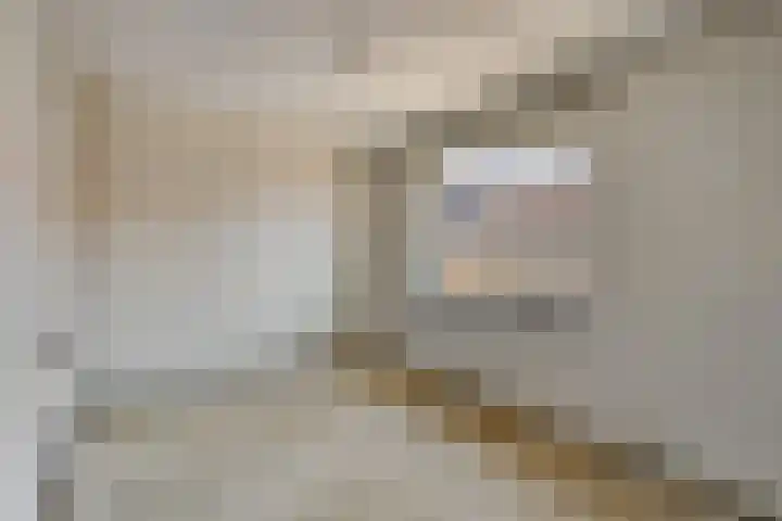 Witbloemstraat 3 Ridderkerk thumbnail 11