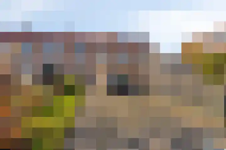 Witbloemstraat 3 Ridderkerk thumbnail 14