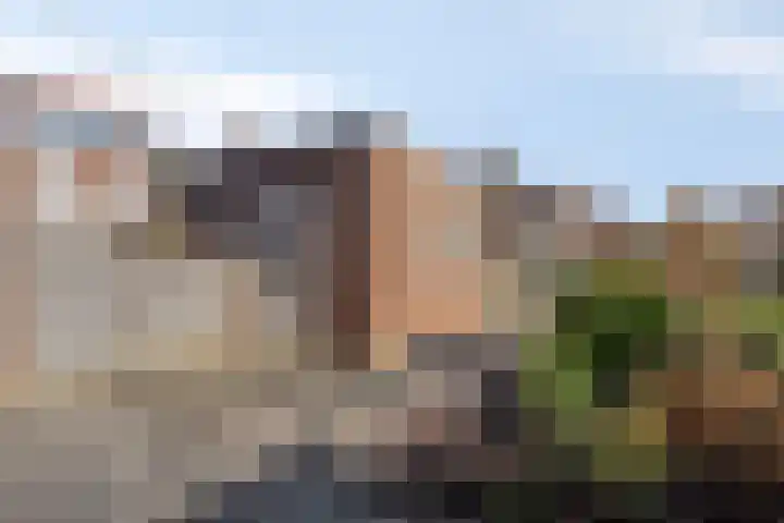 Witbloemstraat 3 Ridderkerk thumbnail 16