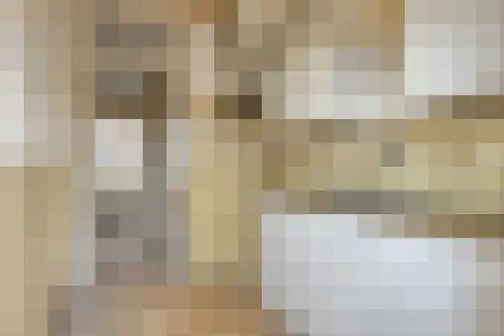 Witbloemstraat 3 Ridderkerk thumbnail 8