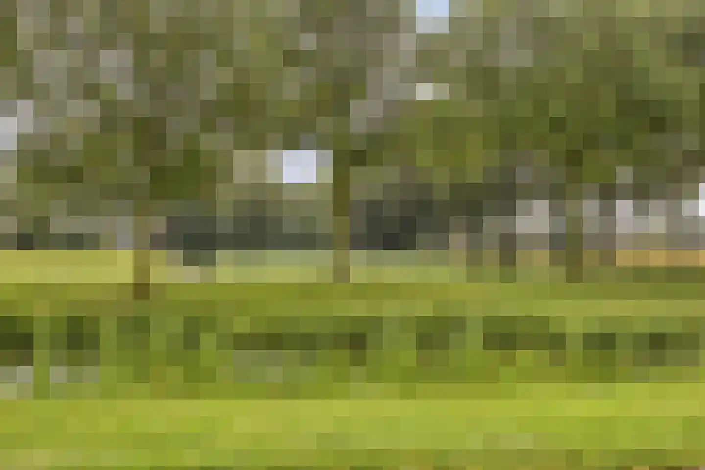 Witbloemstraat 7 Ridderkerk thumbnail 26
