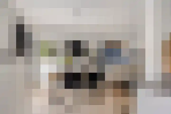 Witbloemstraat 8 Ridderkerk thumbnail 10
