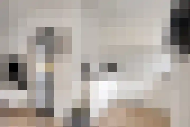 Witbloemstraat 8 Ridderkerk thumbnail 11