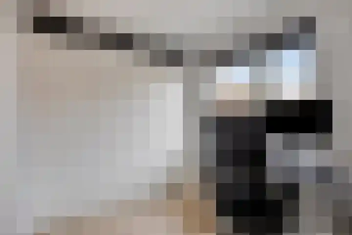 Witbloemstraat 8 Ridderkerk thumbnail 20