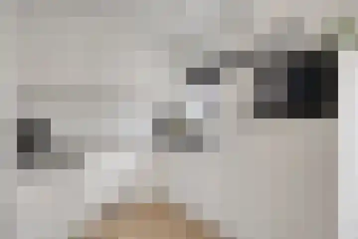 Witbloemstraat 8 Ridderkerk foto 3