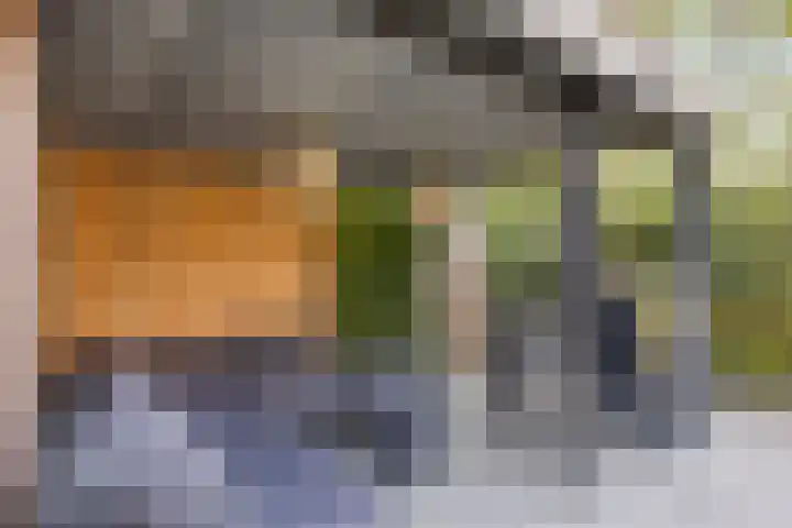 Witbloemstraat 8 Ridderkerk thumbnail 33