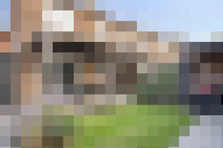 Witbloemstraat 8 Ridderkerk thumbnail 35