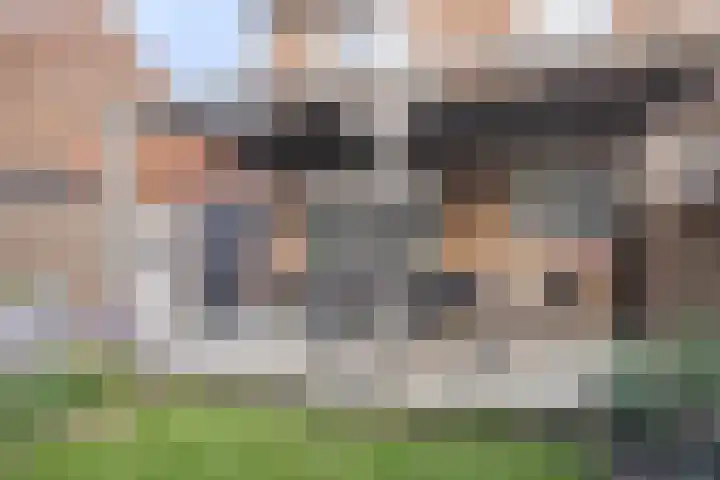 Witbloemstraat 8 Ridderkerk thumbnail 36
