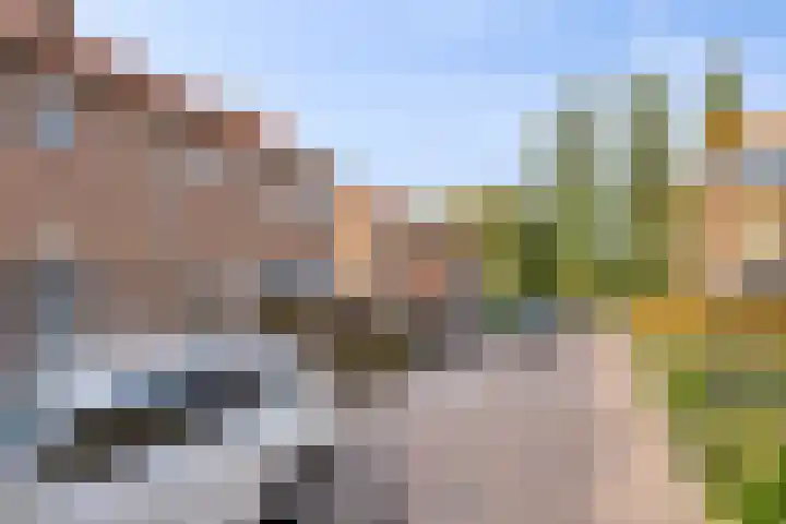 Witbloemstraat 8 Ridderkerk thumbnail 37