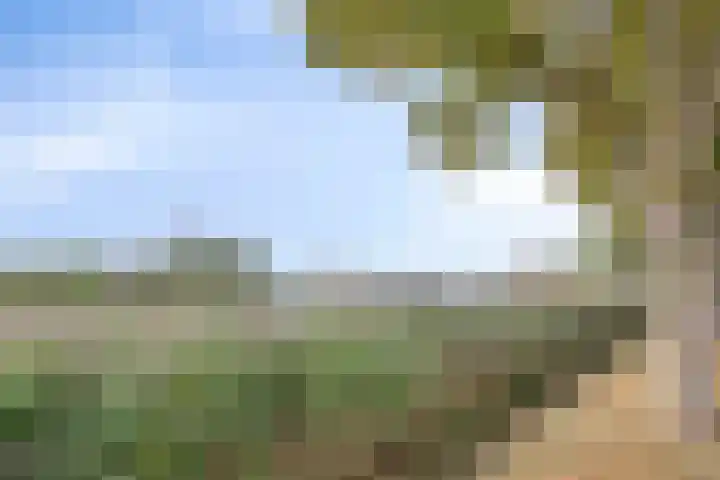 Witbloemstraat 8 Ridderkerk thumbnail 38