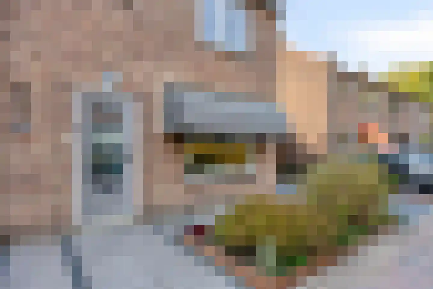 Witbloemstraat 8 Ridderkerk thumbnail 40