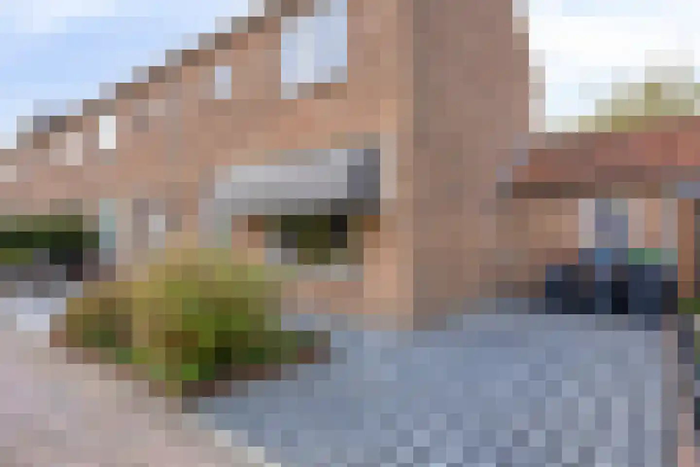 Witbloemstraat 8 Ridderkerk thumbnail 41