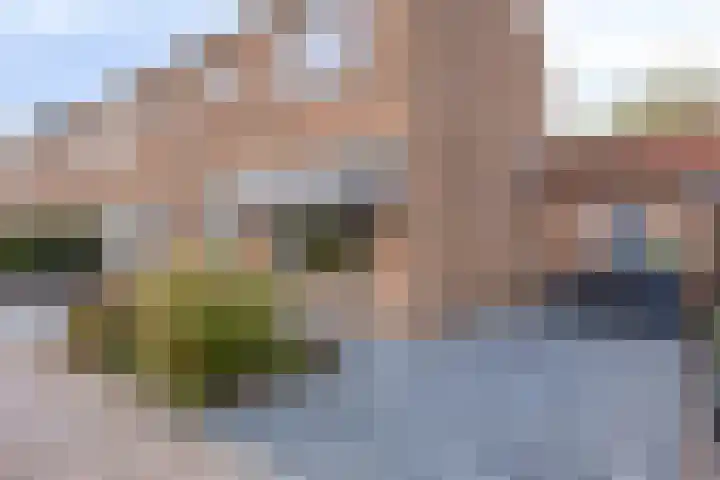 Witbloemstraat 8 Ridderkerk thumbnail 41
