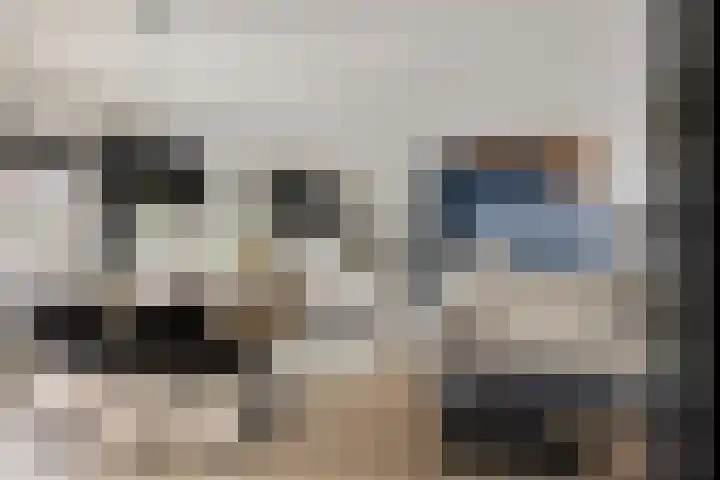 Witbloemstraat 8 Ridderkerk thumbnail 6