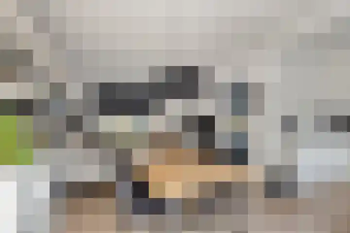 Witbloemstraat 8 Ridderkerk thumbnail 7