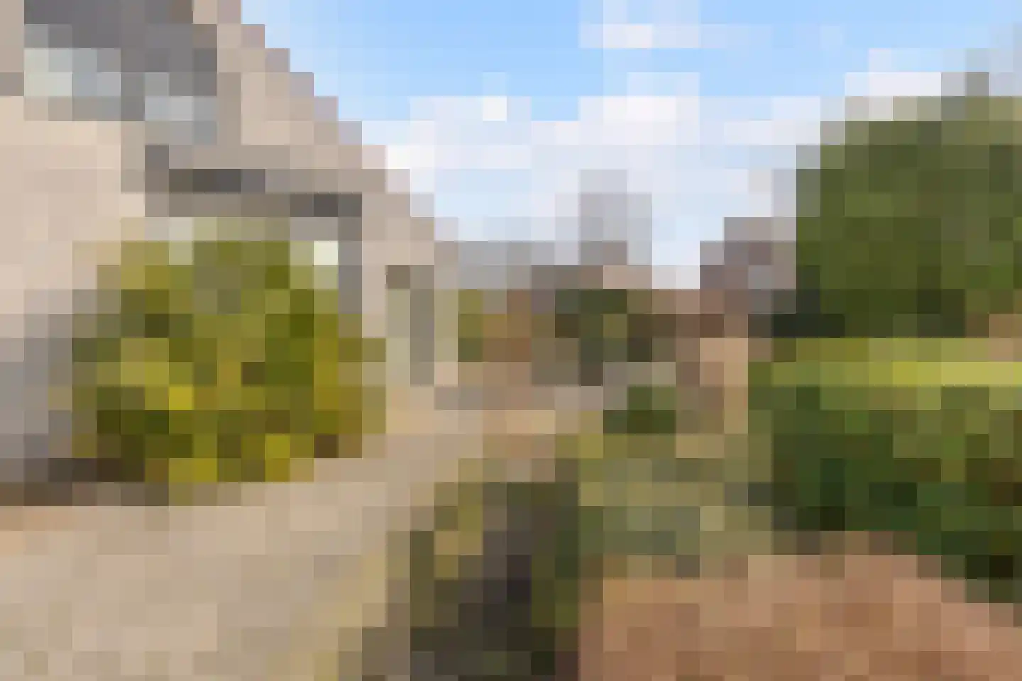 Witbol 2 Hoogeveen thumbnail 43