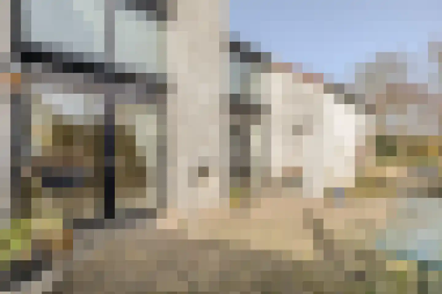 Witbol 2 Hoogeveen thumbnail 46