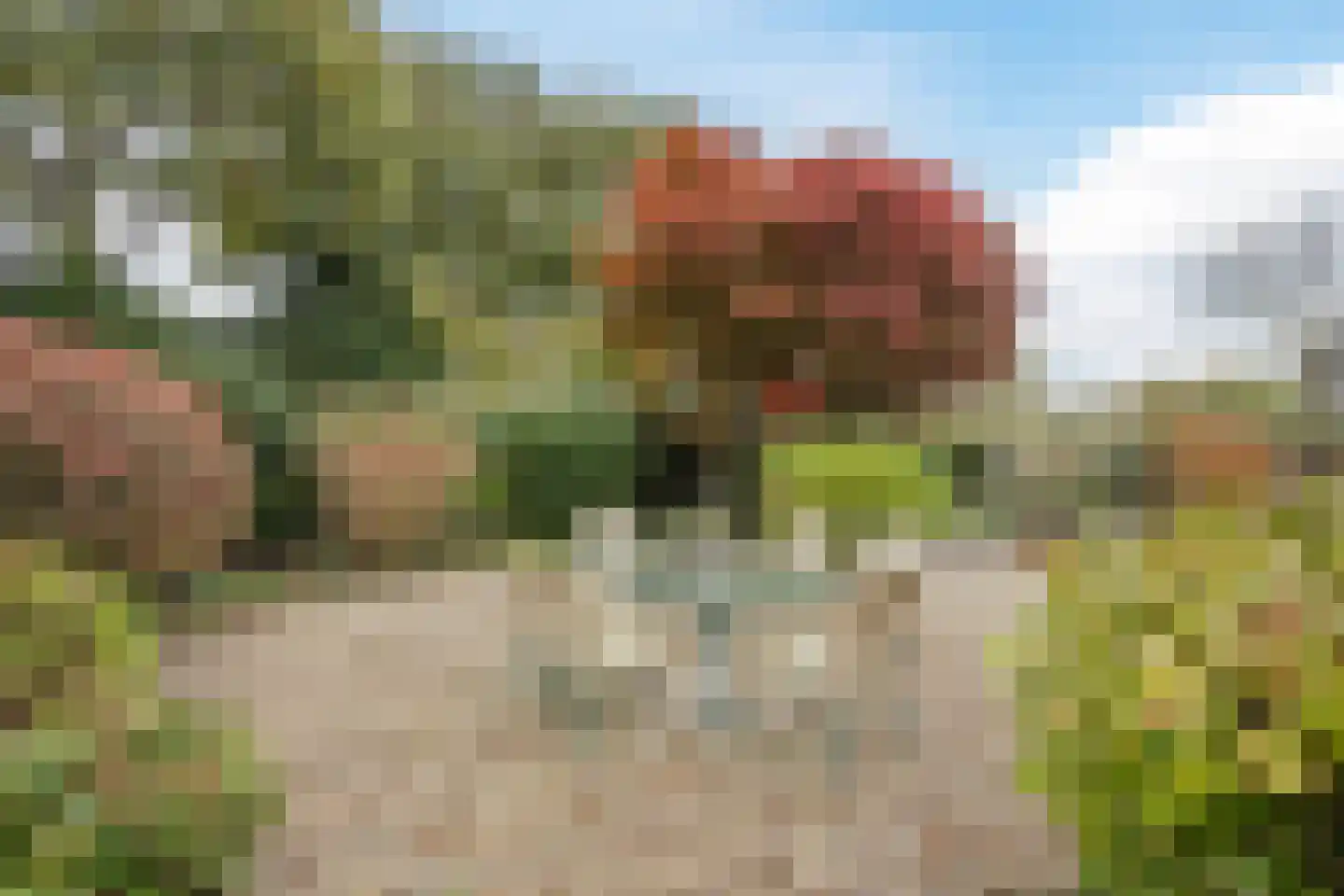 Witbol 2 Hoogeveen thumbnail 51