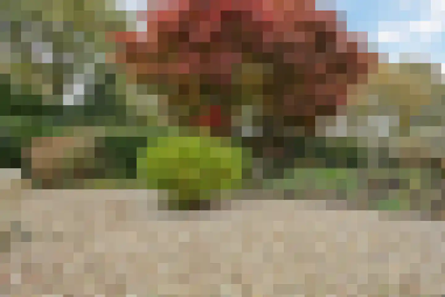 Witbol 2 Hoogeveen thumbnail 59
