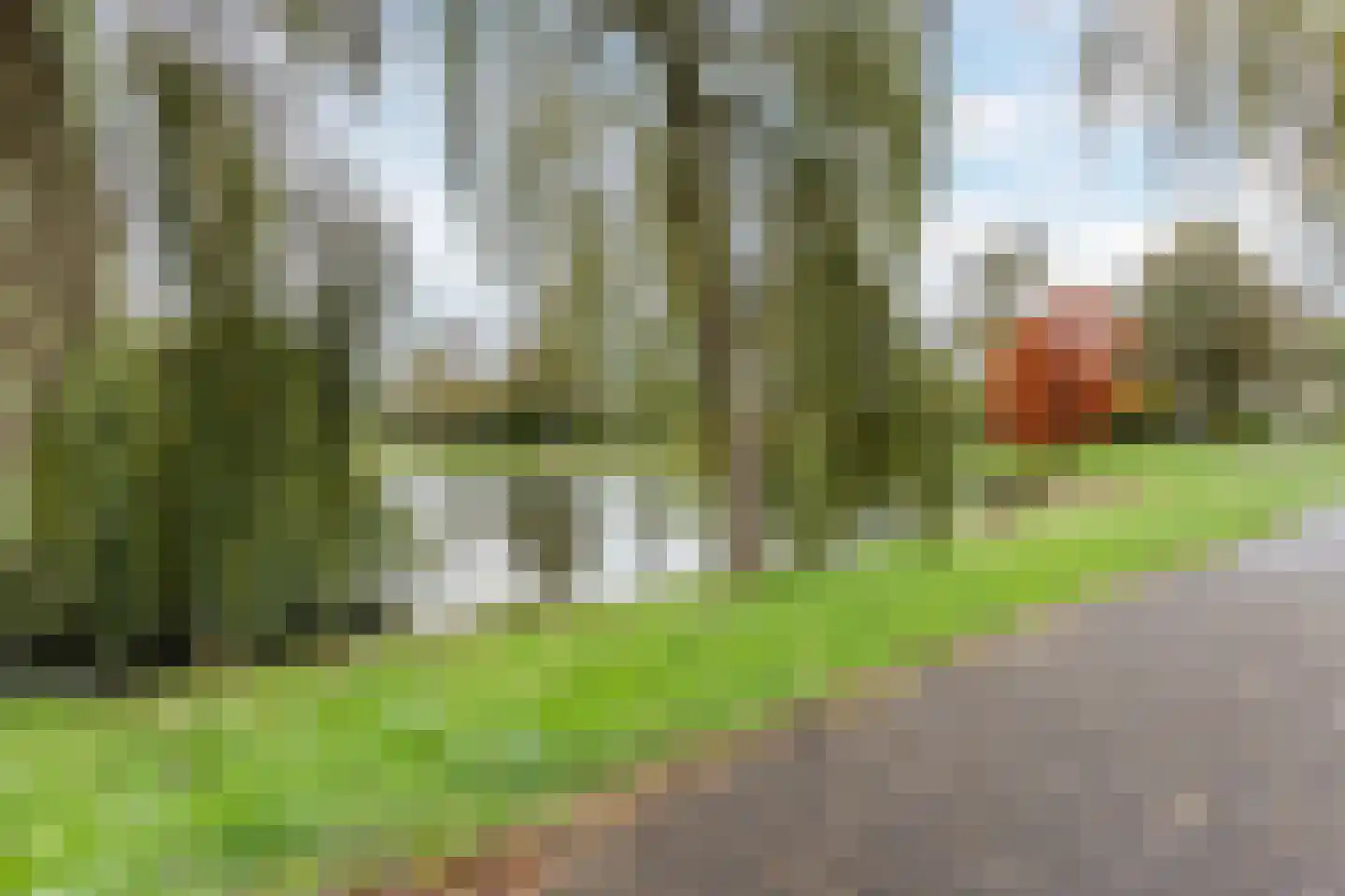 Witbol 2 Hoogeveen thumbnail 64